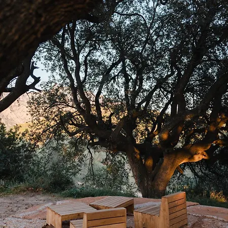 Hotel Hotel-masia Farres